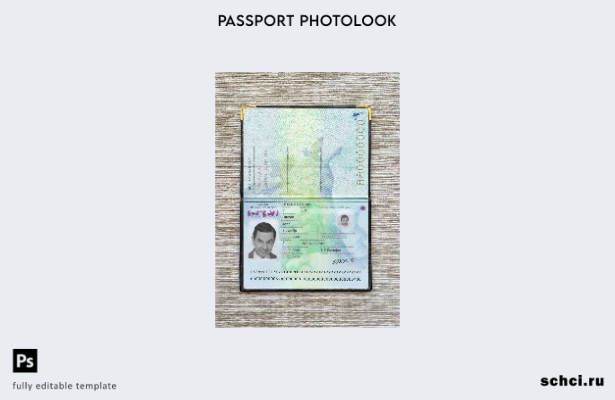 цифровая загрузка шаблона фото паспорта Словении